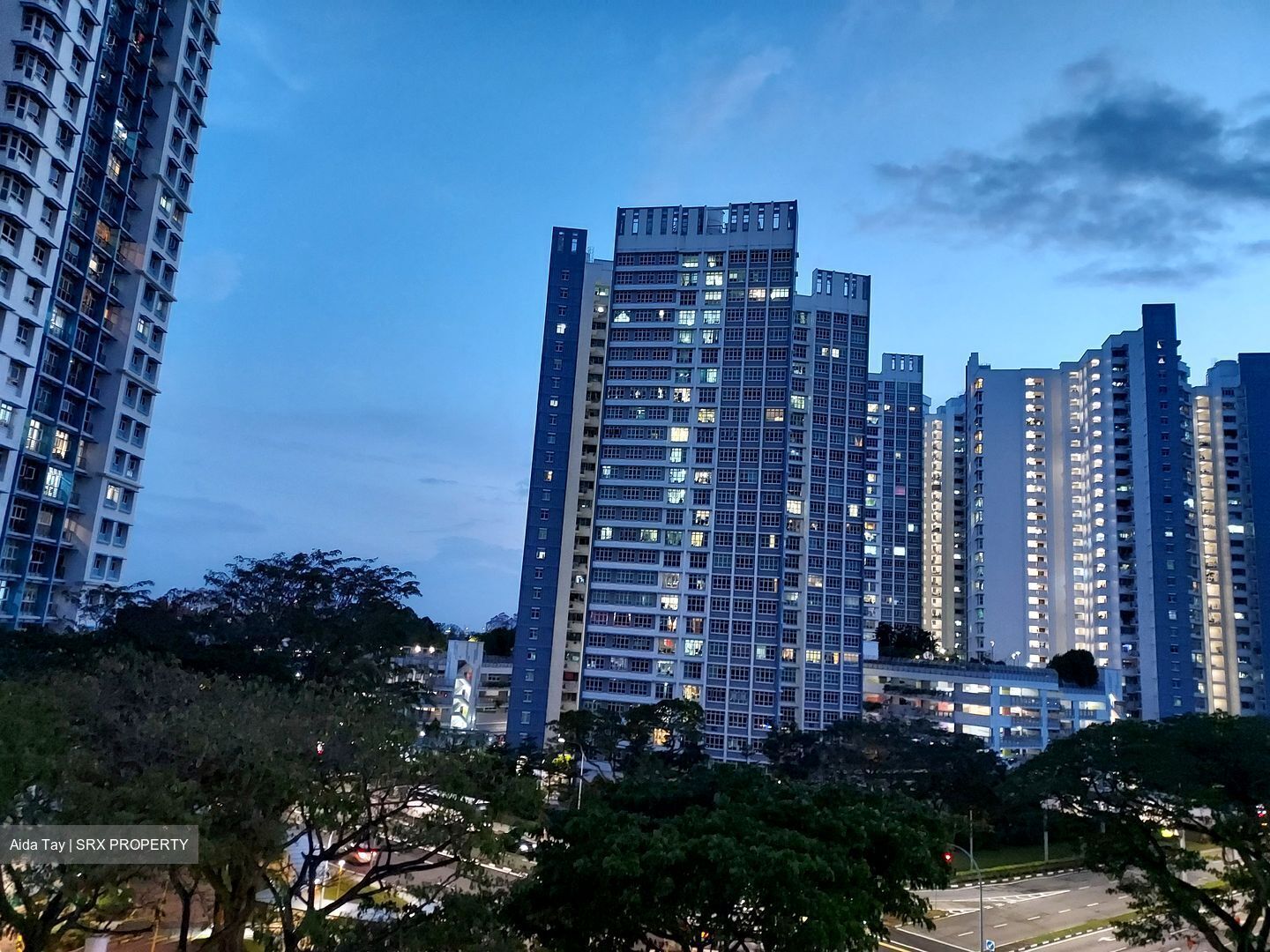 Petir Road (Bukit Panjang),  #603890651